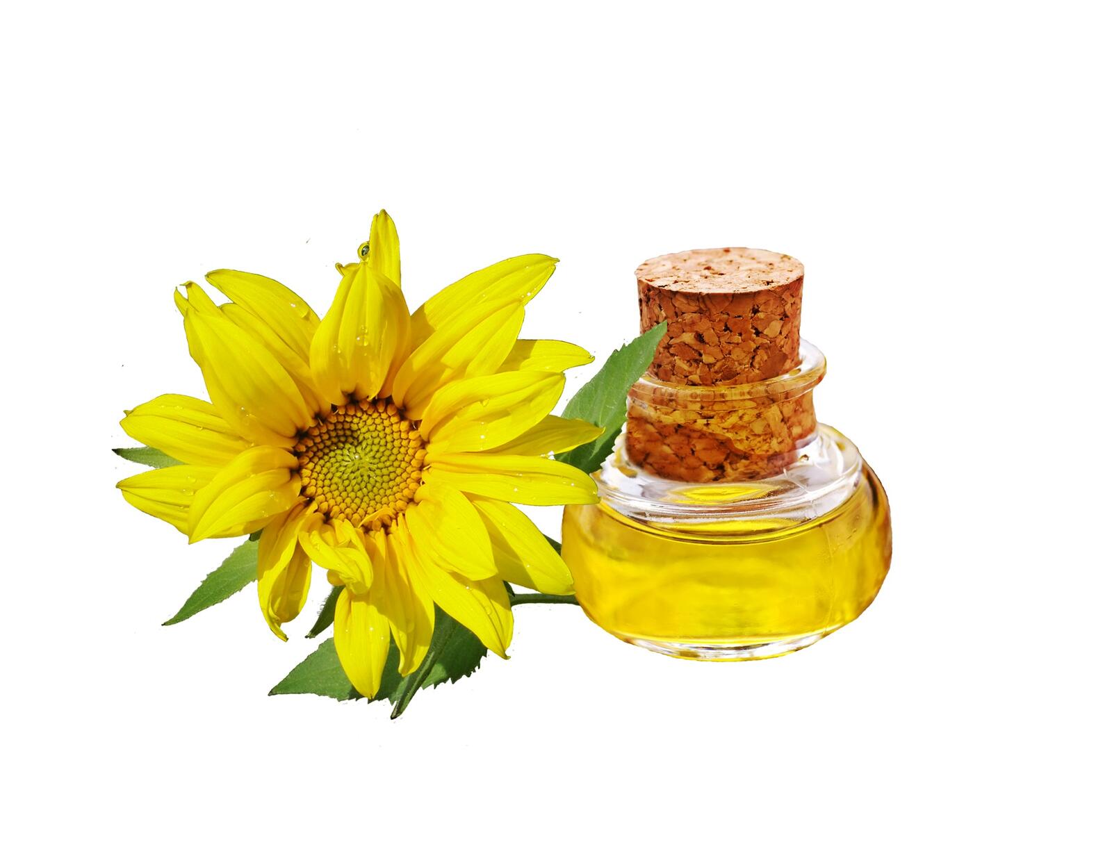 Free photo Sunflower oil with sunflower seeds
