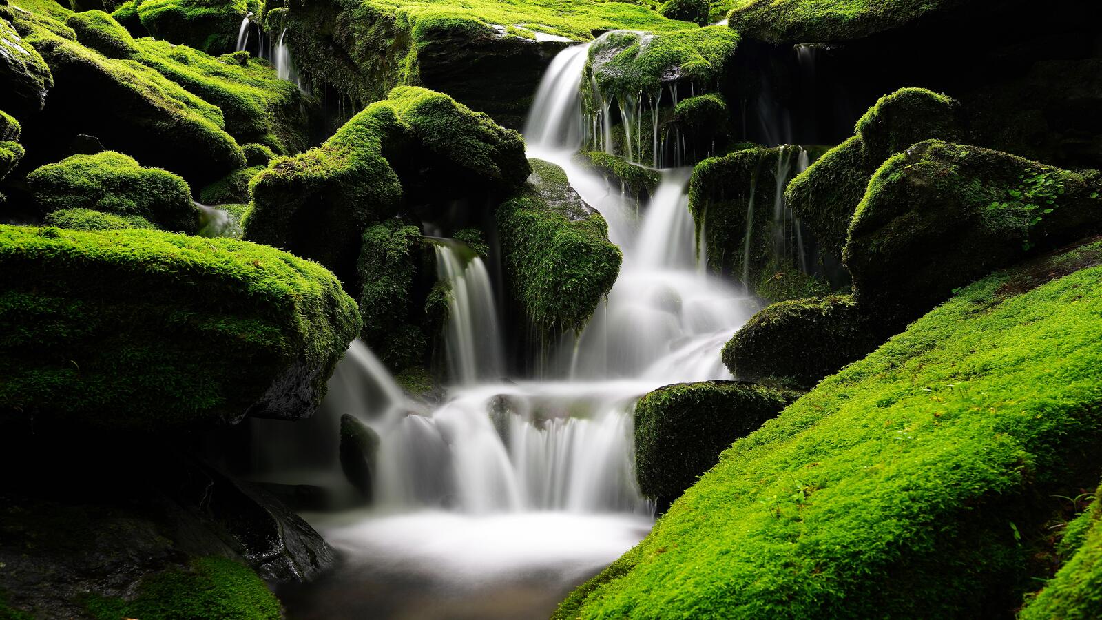 Бесплатное фото Водопад в кореи с камнями покрытыми густым зеленым мхом