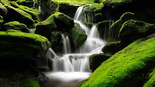 Водопад в кореи с камнями покрытыми густым зеленым мхом