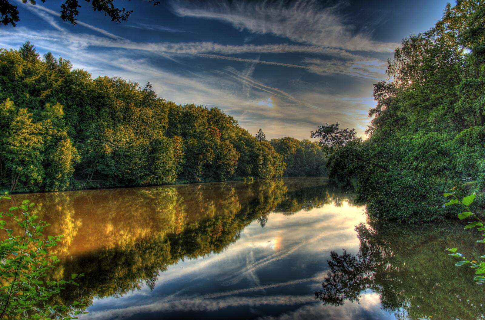 Бесплатное фото Потрясающее утро на реке среди леса