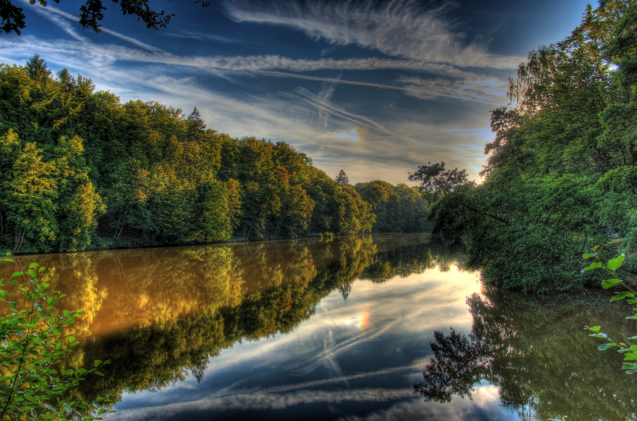 免费照片森林中河边迷人的早晨
