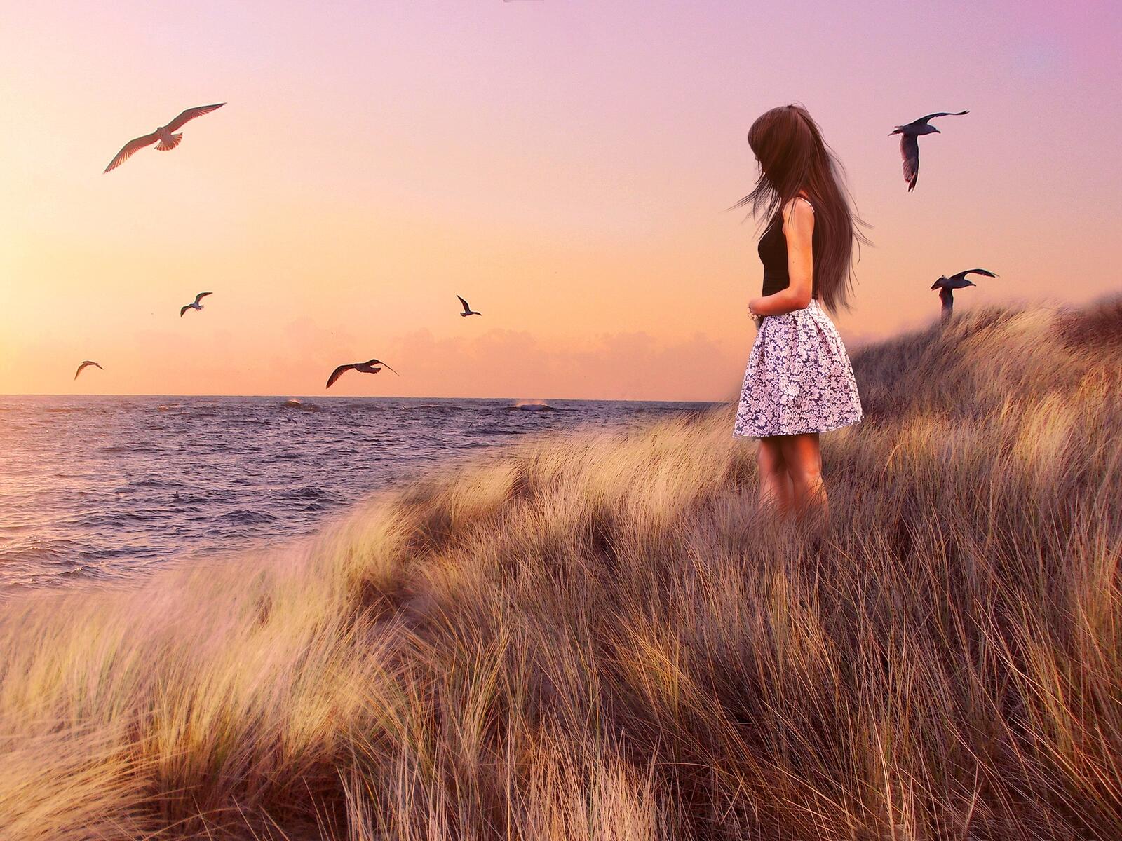 免费照片穿着裙子的女孩站在海鸥飞翔的海岸边