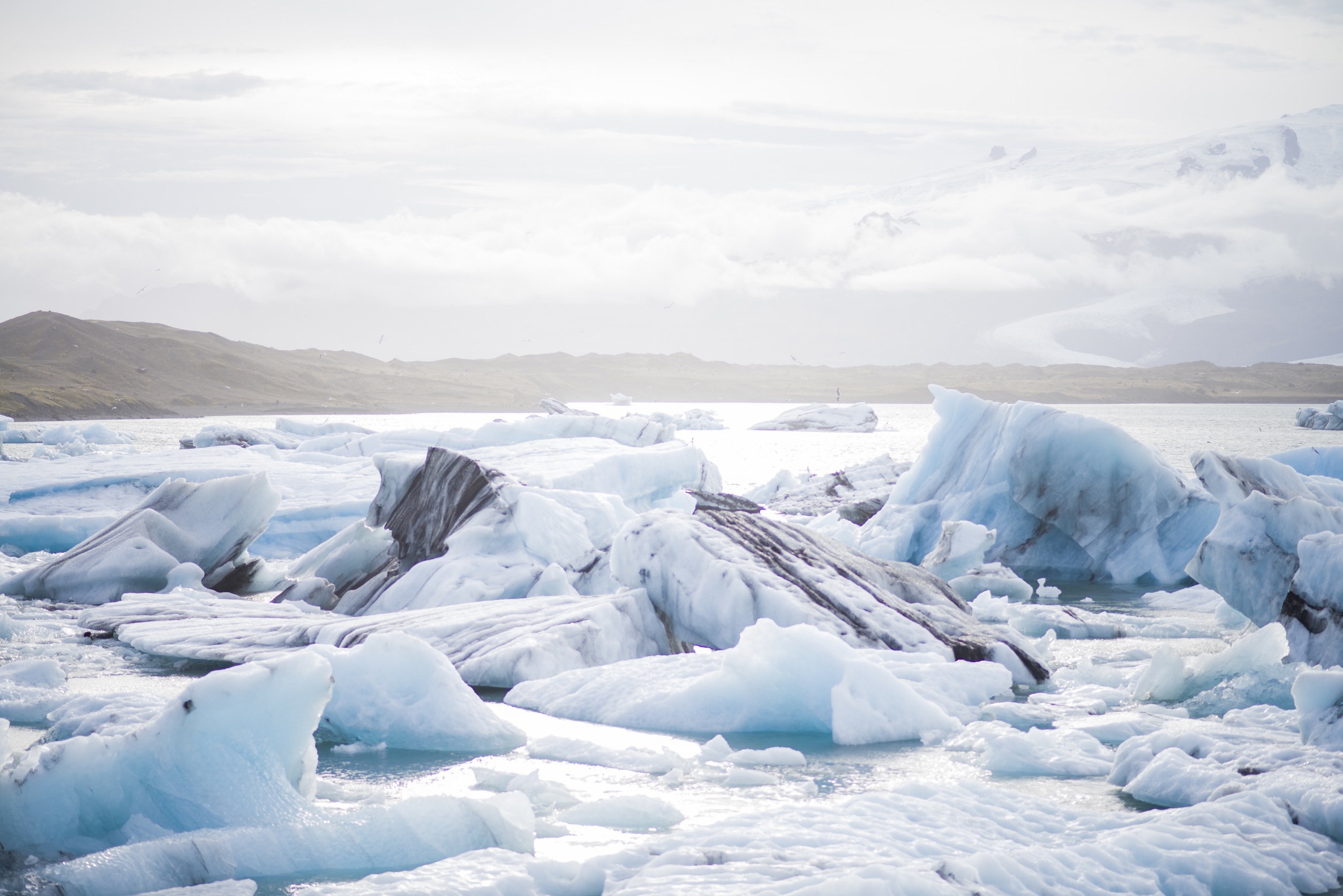 Free photo Melting Arctic Ocean Ice