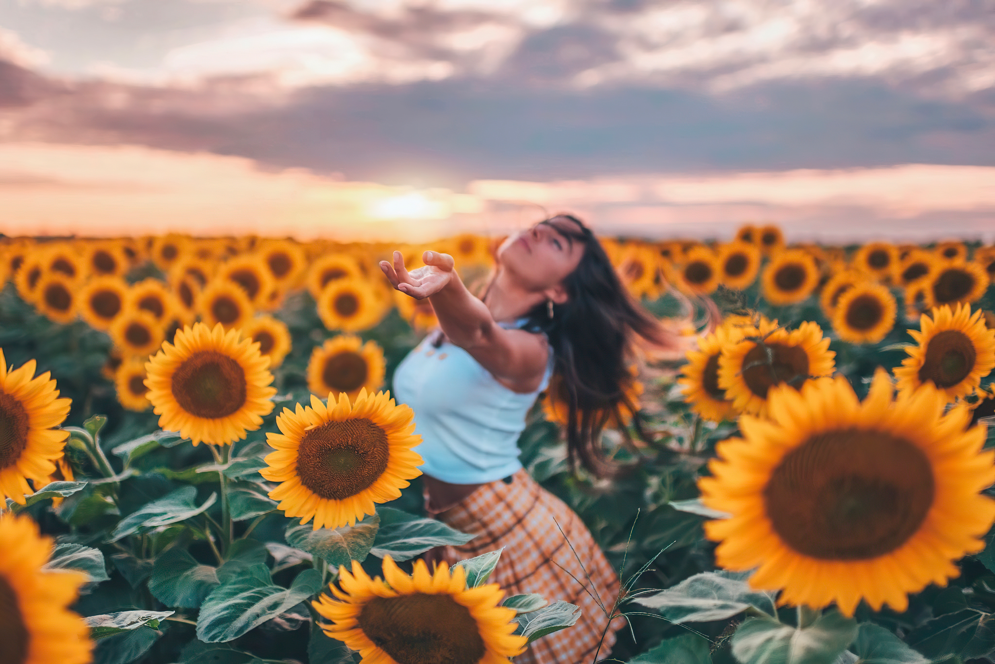Free photo Young girl posing among sunflowers at sunset
