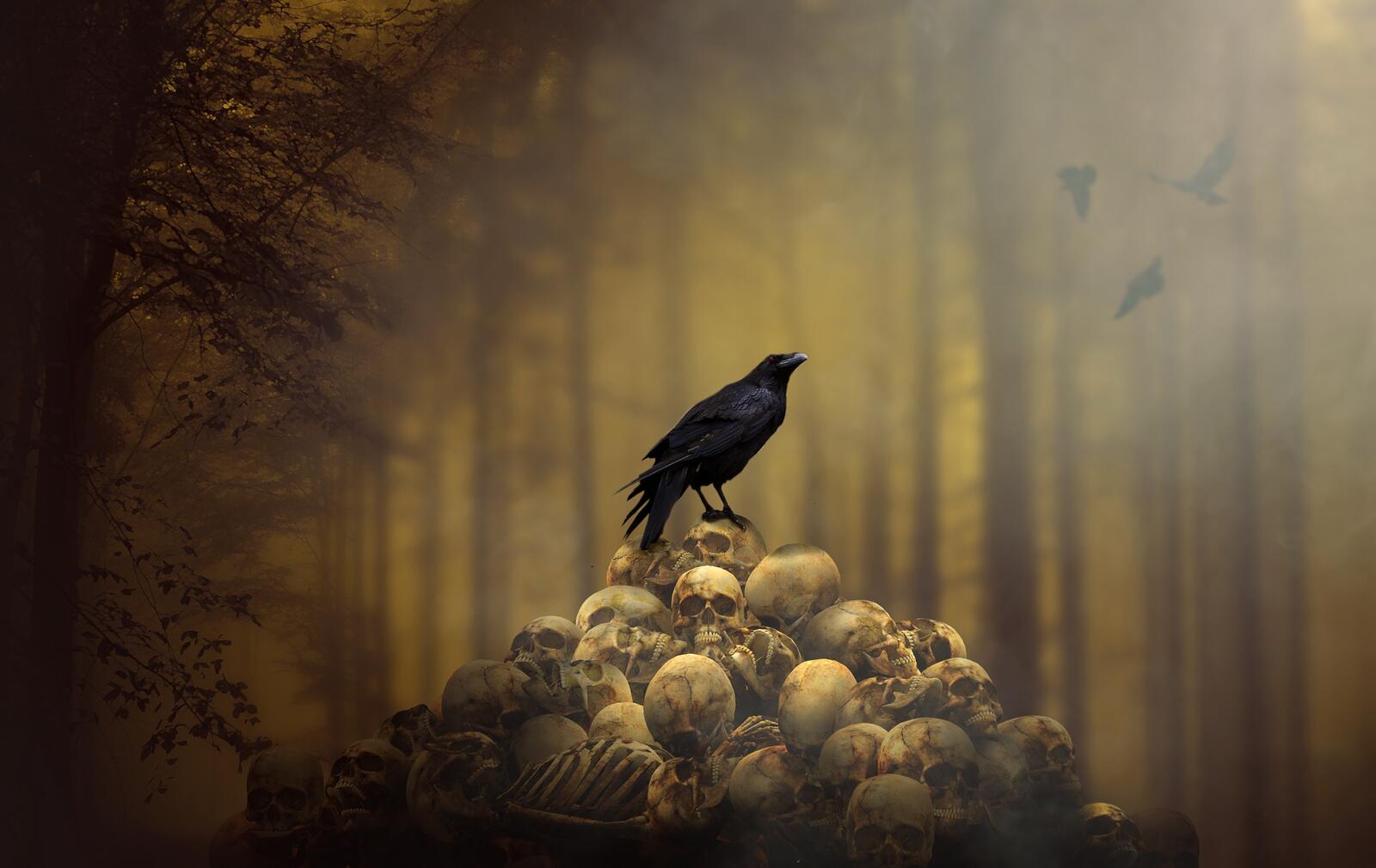 Free photo A black raven on a mountain with skulls
