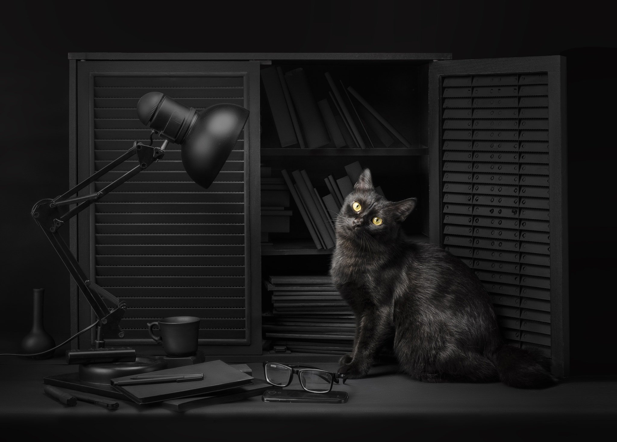 Wallpapers animales a cat dark on the desktop