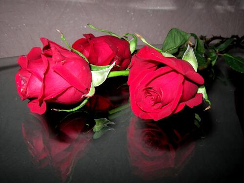 Три красные розы на день святого Валентина