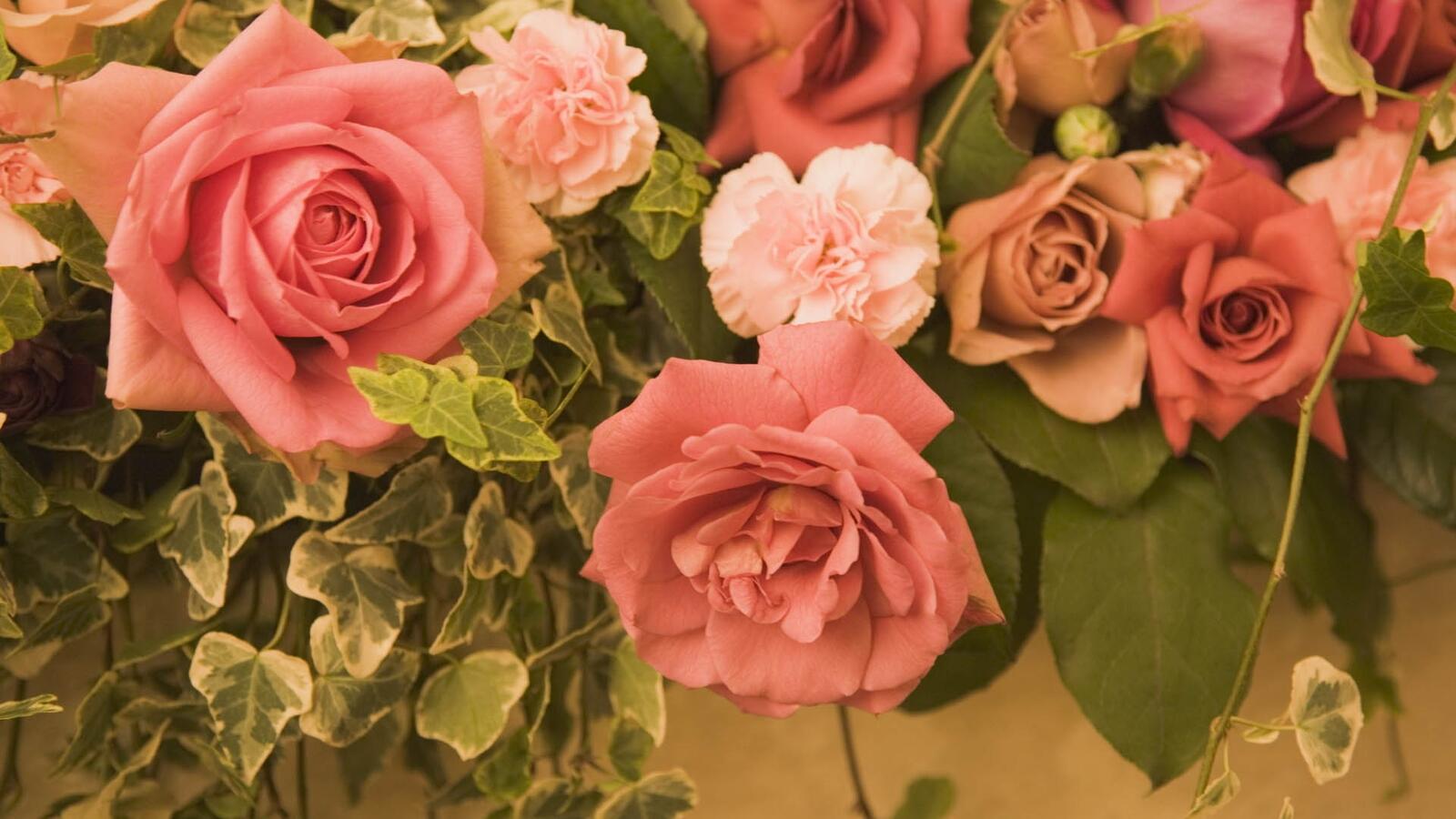 Бесплатное фото Куст на заборе с розовыми розами
