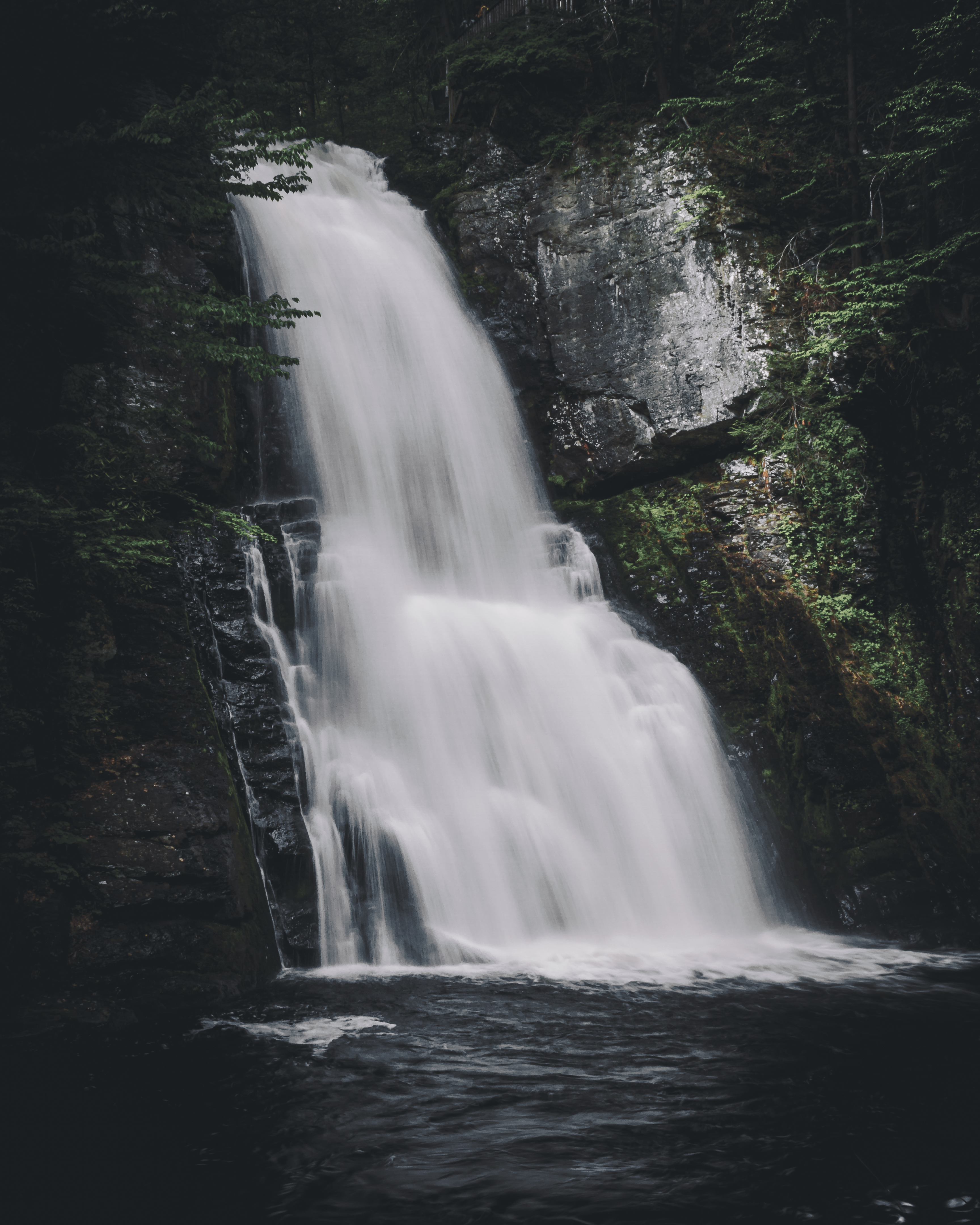 Бесплатное фото Водопад в глубине леса