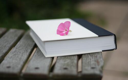 Маленький розовый цветочек на книге