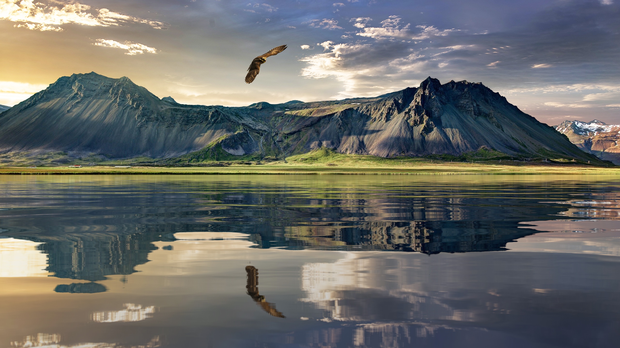 一只老鹰在湖面上飞翔，背景是山。