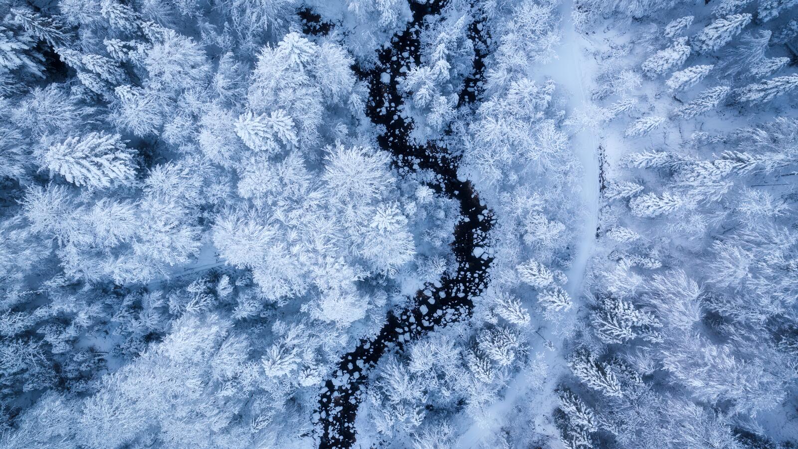 Бесплатное фото Зимний пейзаж сверху