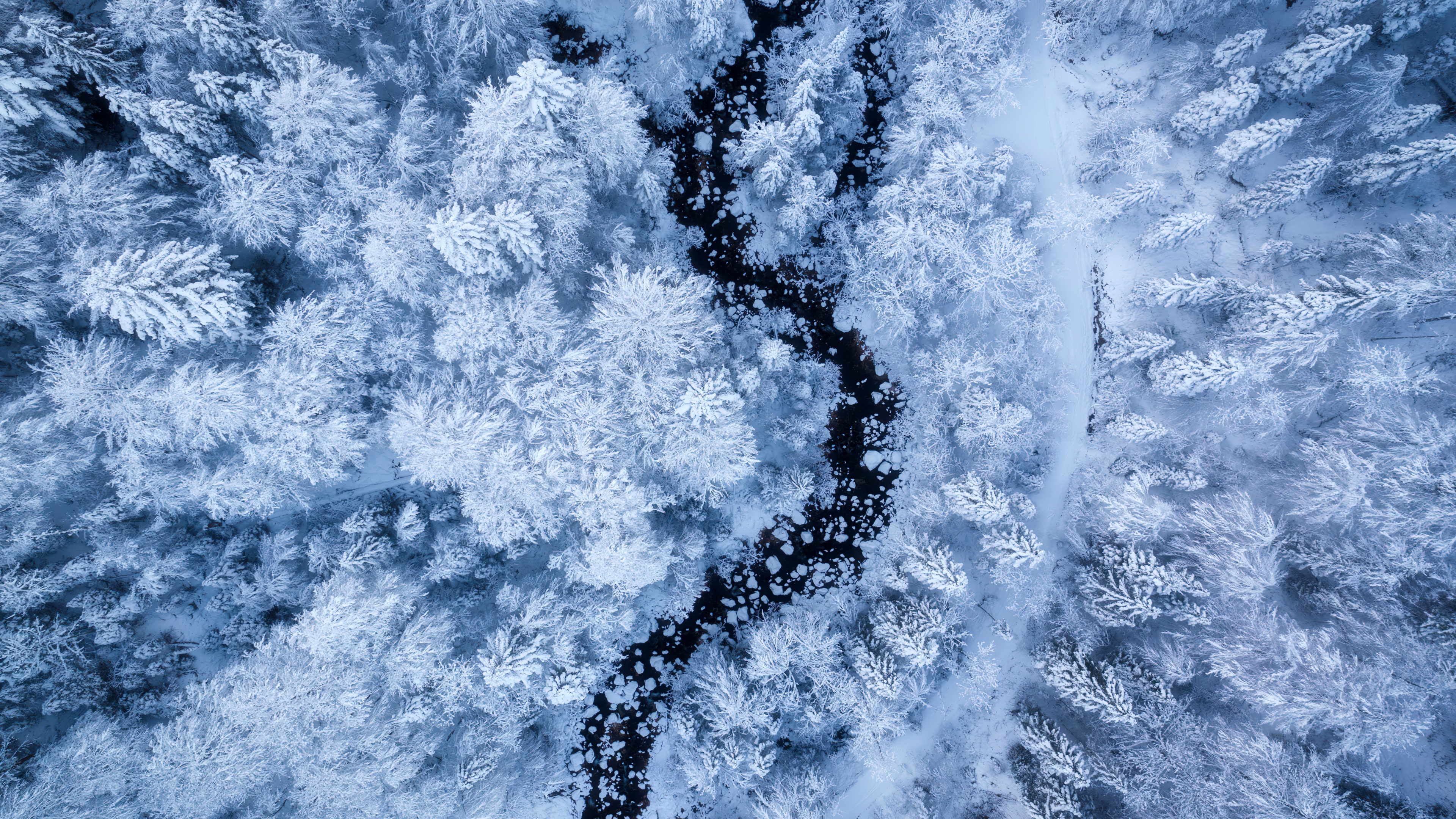 免费照片从高空俯瞰冬日美景
