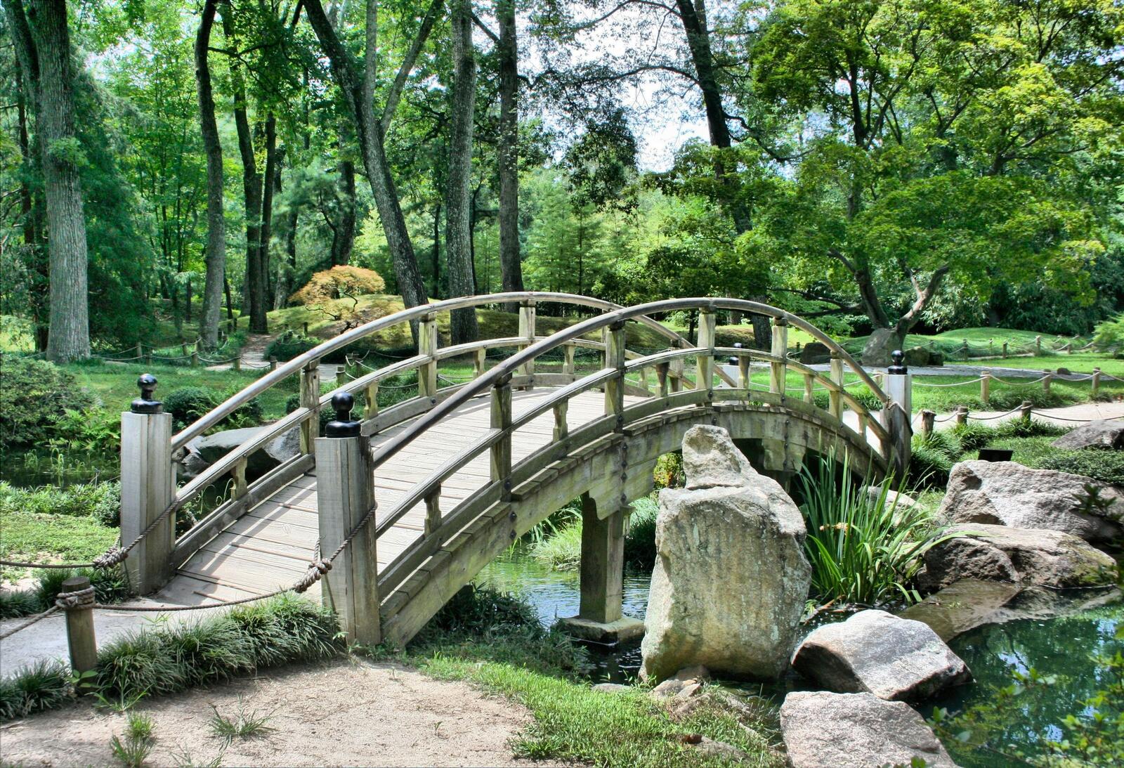 Бесплатное фото Арочный мостик в парке через маленький ручей