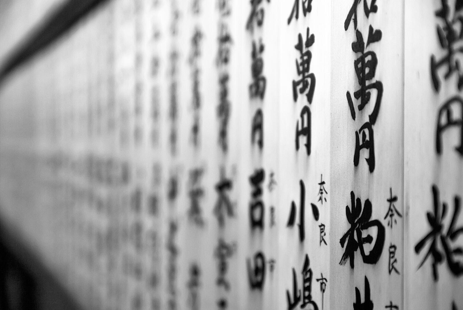 Free photo Japanese airbrushes on a white background