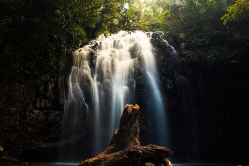 Утро в джунглях возле водопада