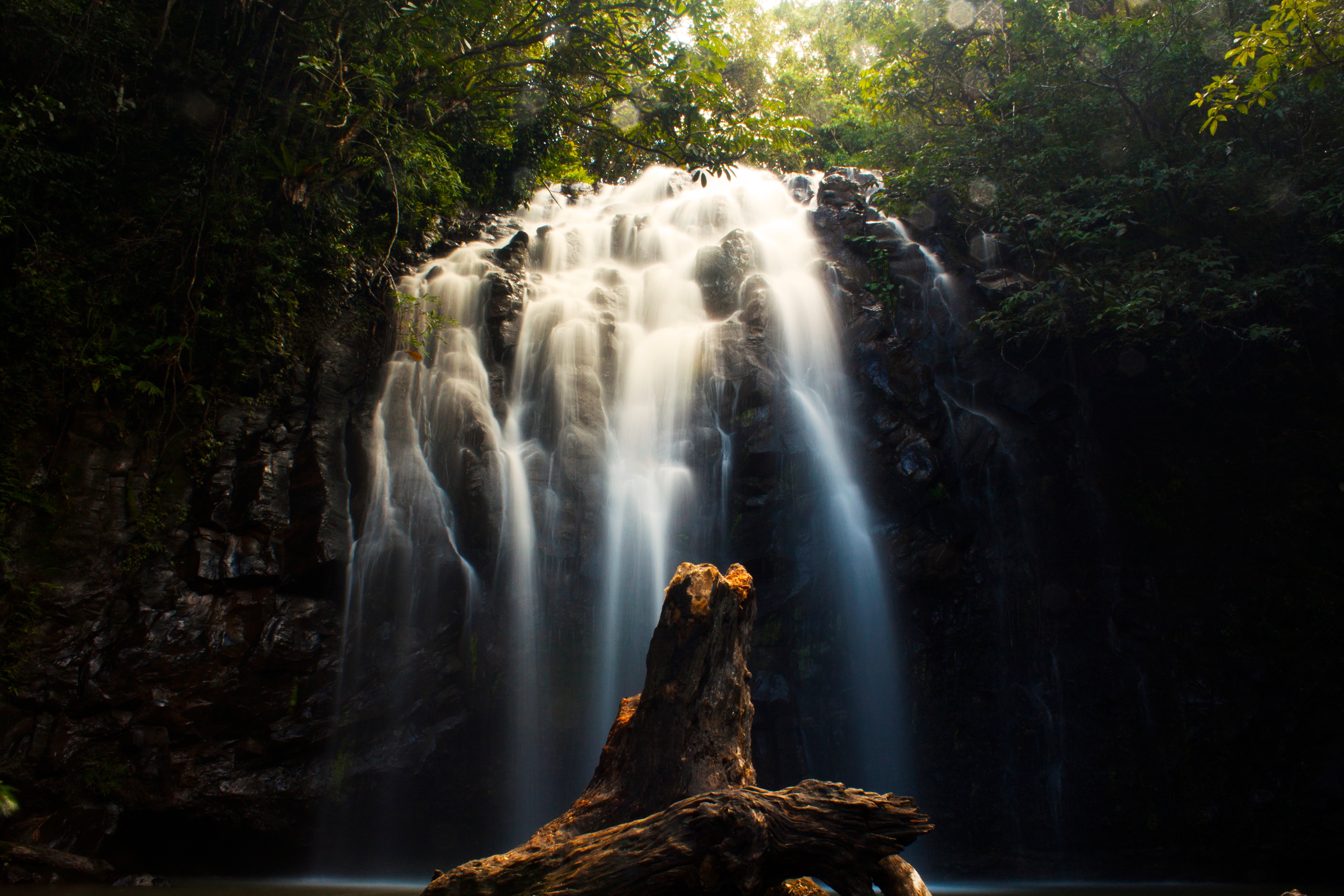 免费照片瀑布附近丛林的早晨