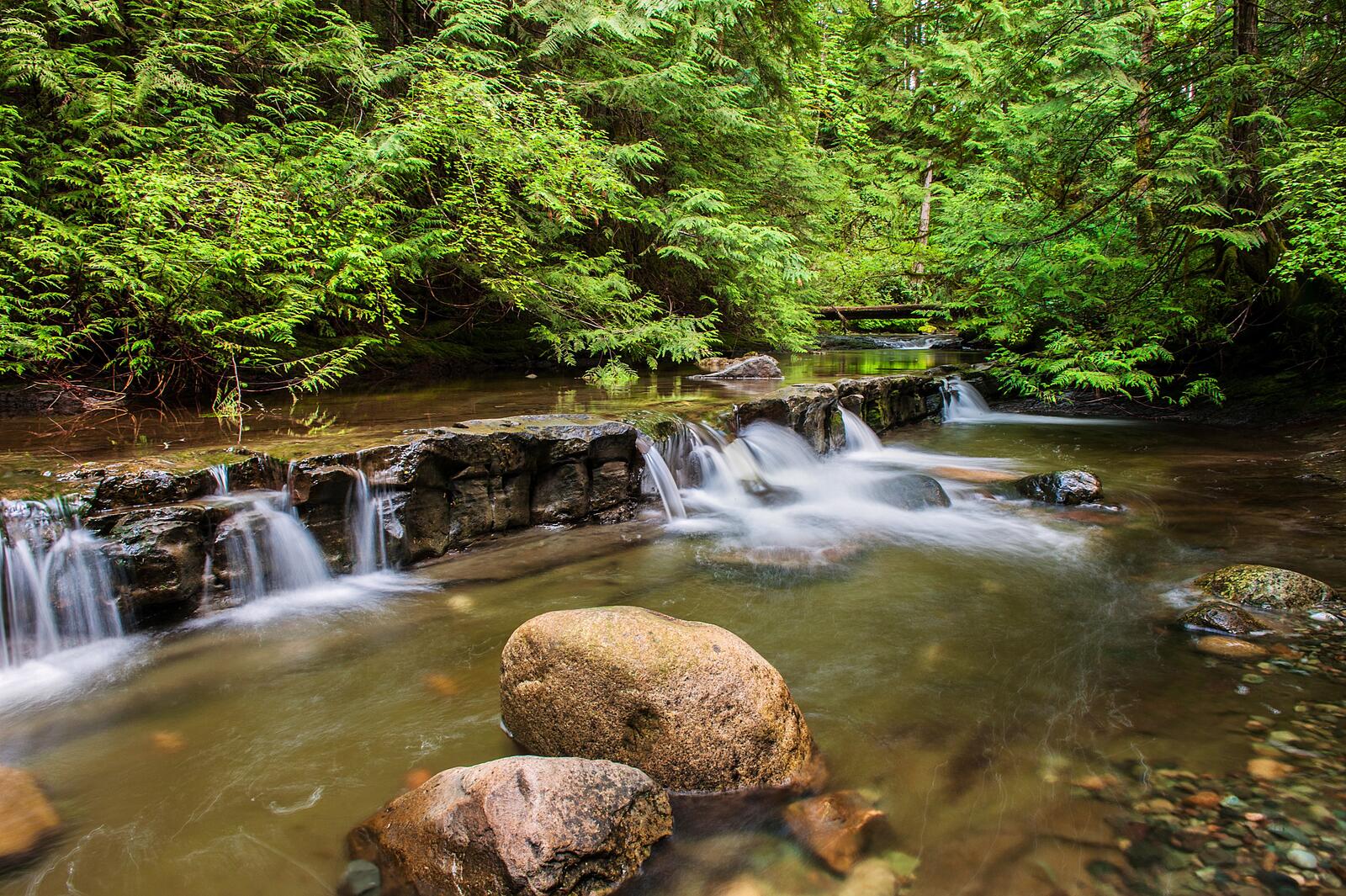 Бесплатное фото Широкий и маленький водопад в лесу
