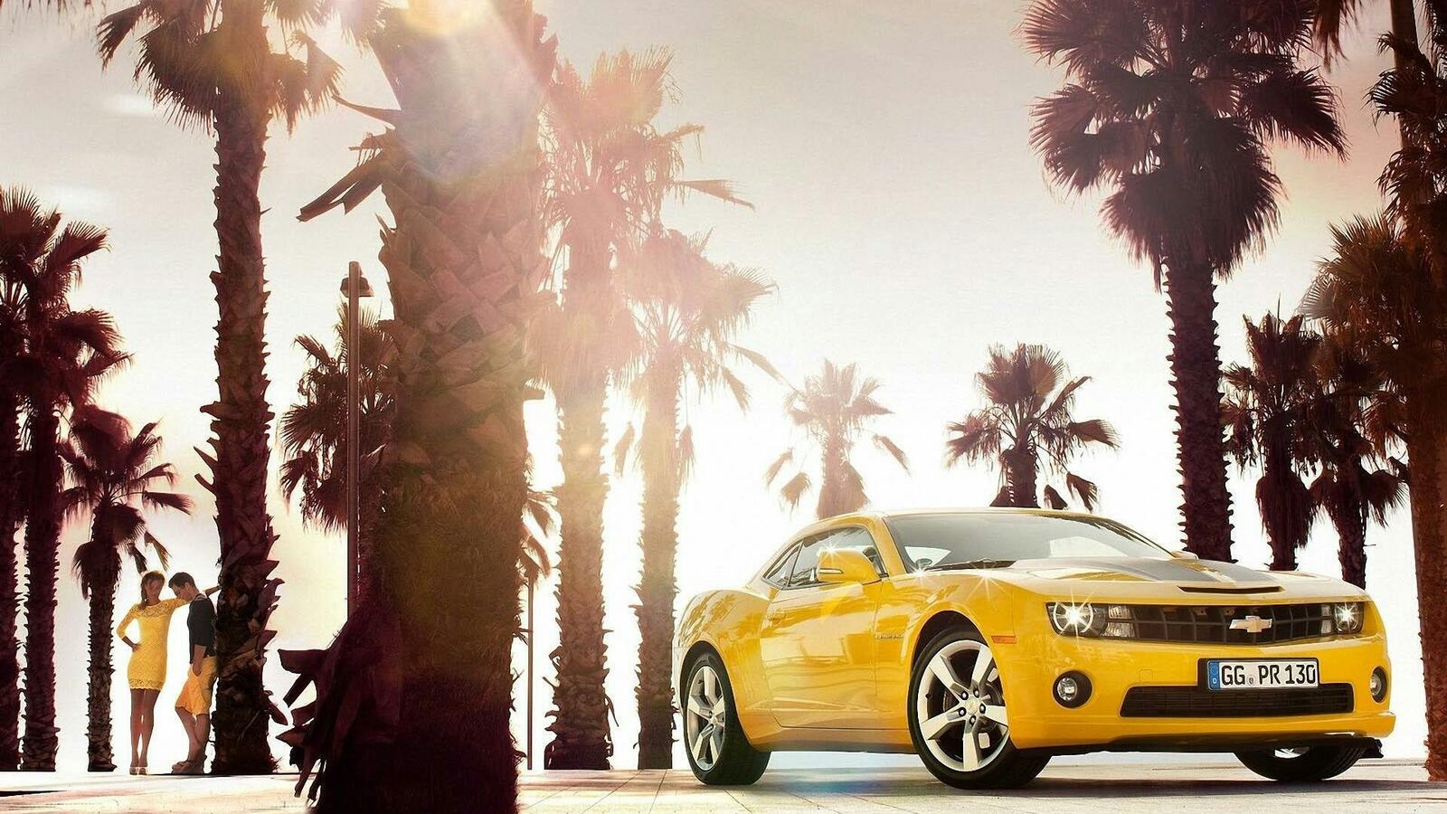 Free photo A yellow Chevrolet Samaro stands under the palm trees.