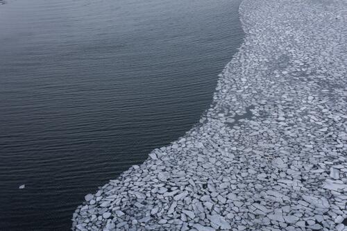Осколки льдины плавают у побережья океана