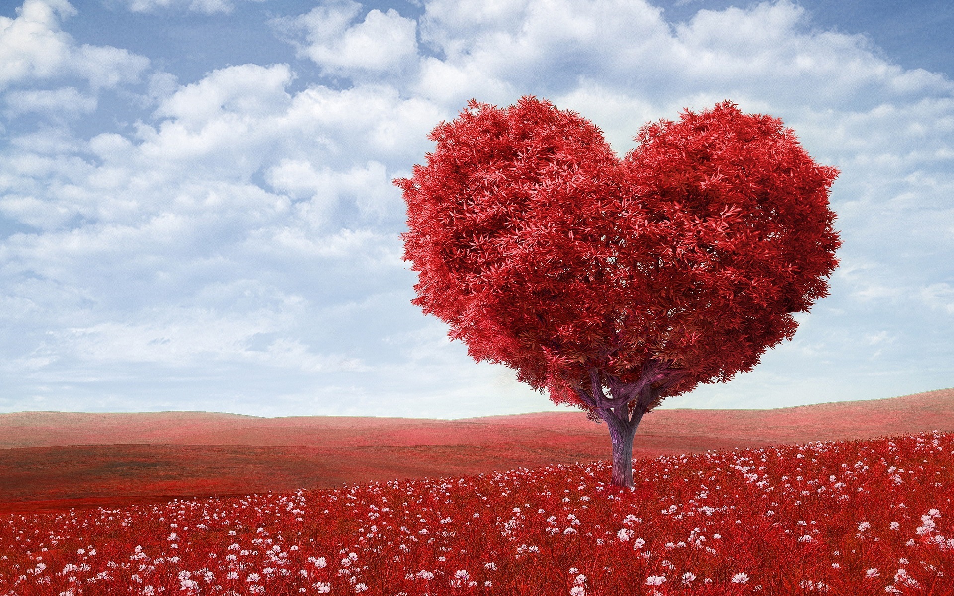 Бесплатное фото Крона дерева в виде красного сердца