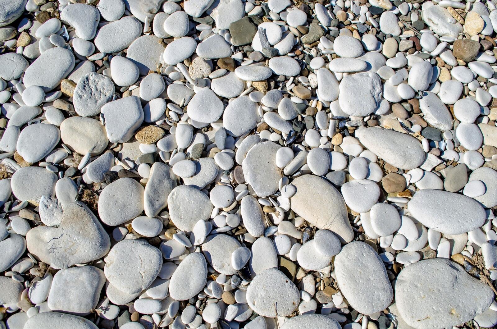 Бесплатное фото Берег пляжа из маленьких камушков