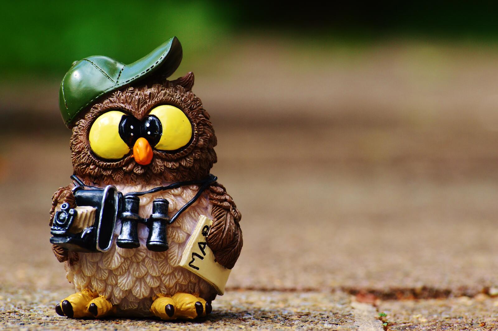 Wallpapers toy owl cute on the desktop
