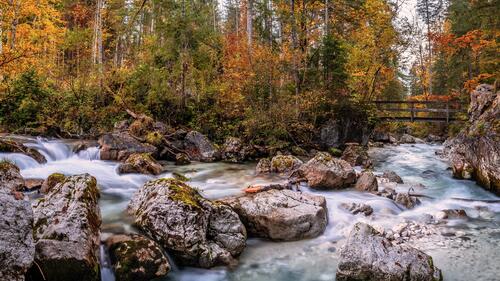 Река с сильным течением в осеннем лесу Германии