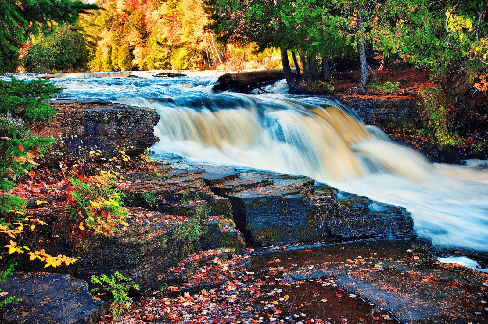Бесплатное фото Река с сильным потоком в осеннем лесу