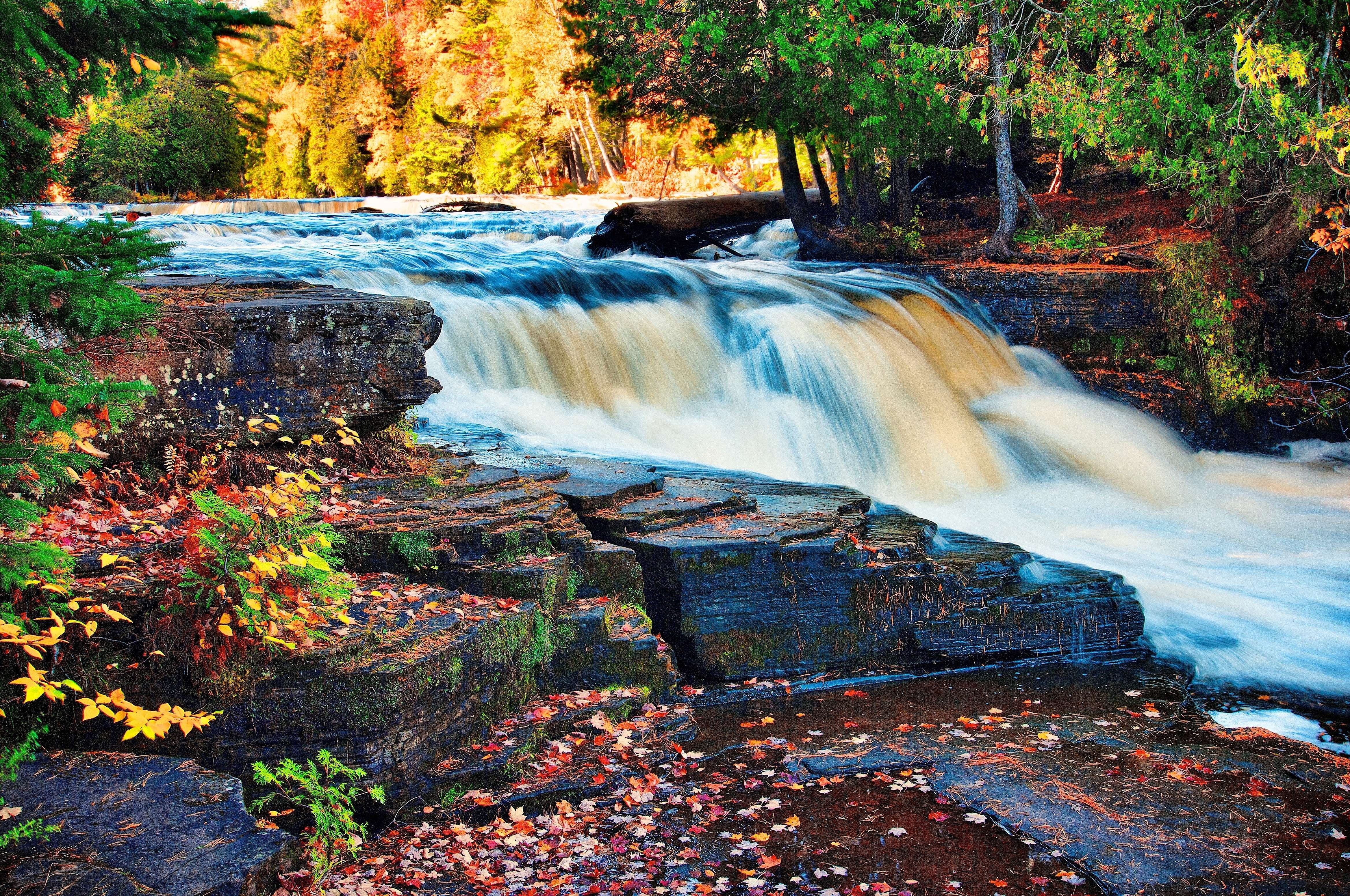 免费照片秋日森林中奔流不息的河流