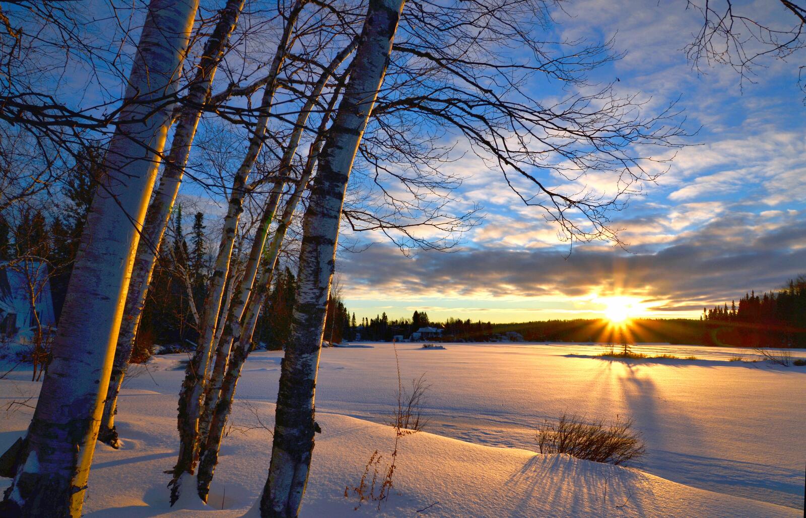 Бесплатное фото Утро на зимнем поле
