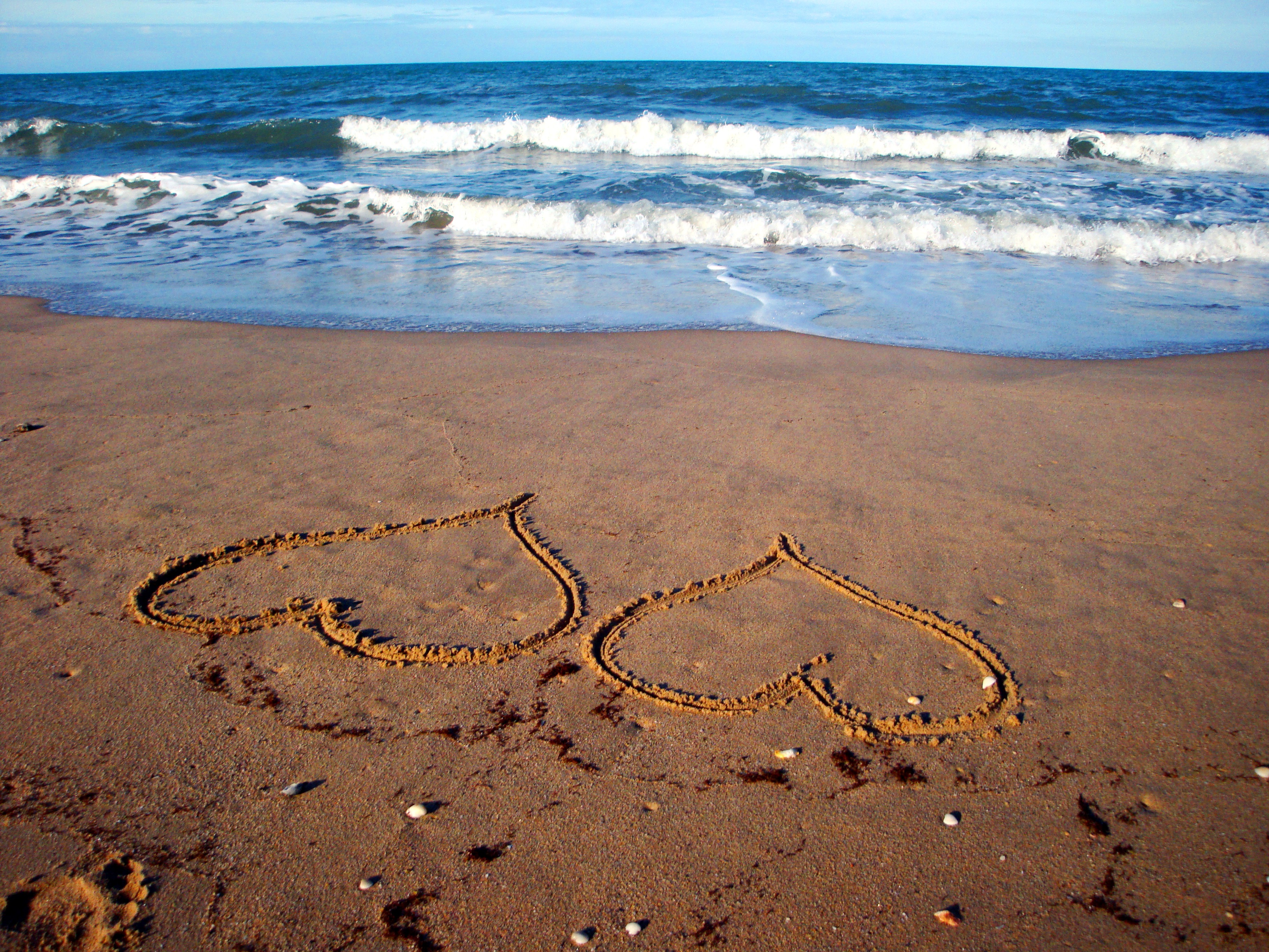 Two hearts on the sand by the seashore.