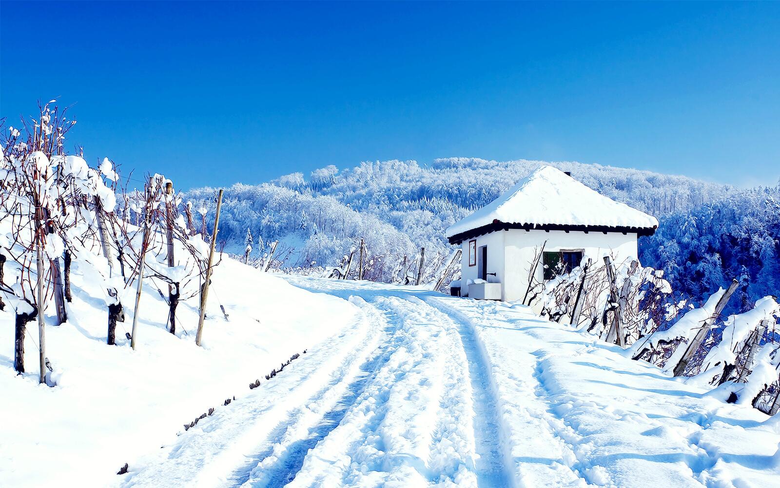 Бесплатное фото Зимняя дорога на обрыве
