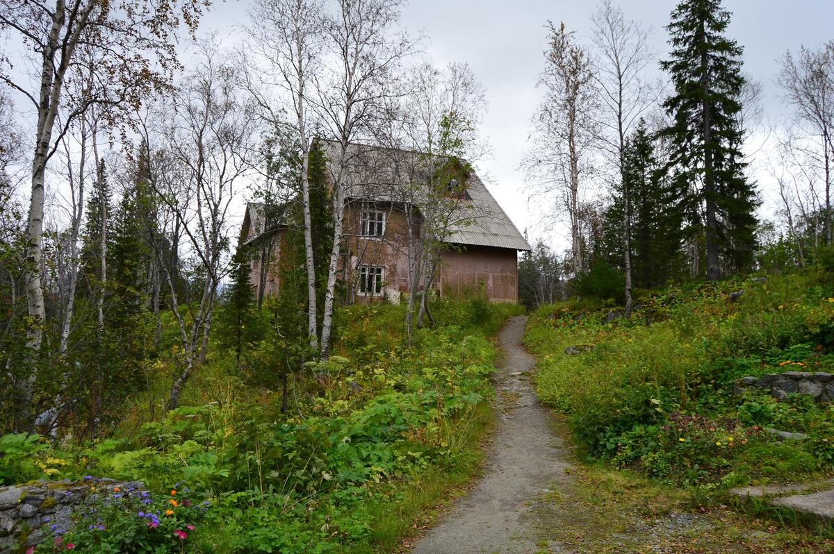 Старый частный дом в лесу