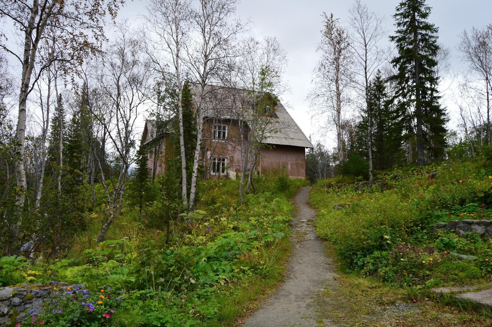 Бесплатное фото Старый частный дом в лесу