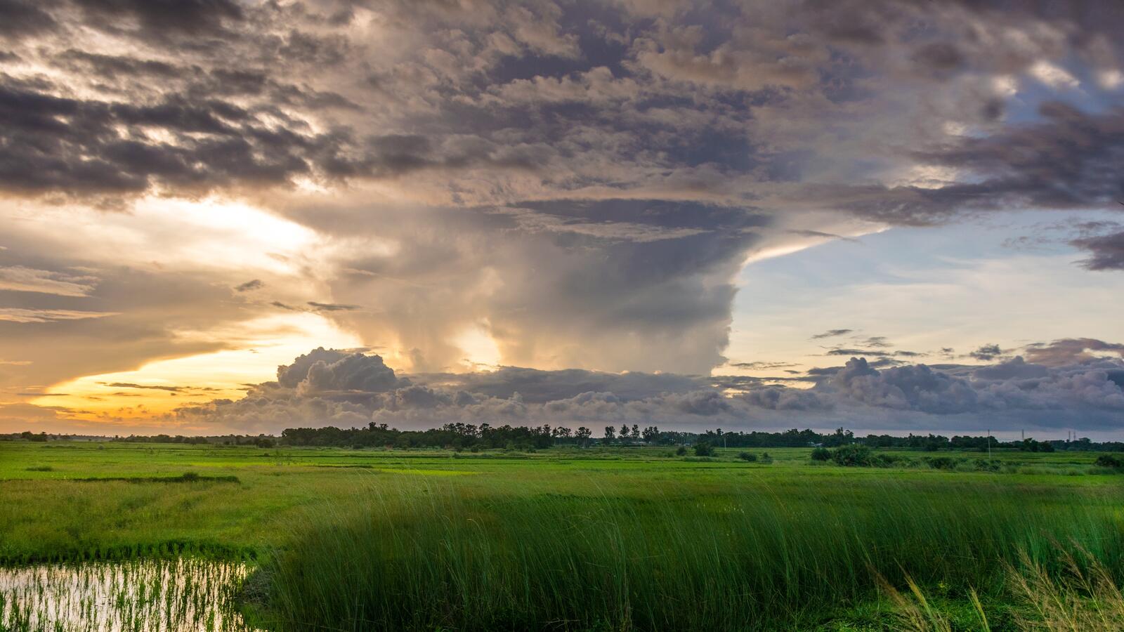 Бесплатное фото Густые облака над зеленым полем