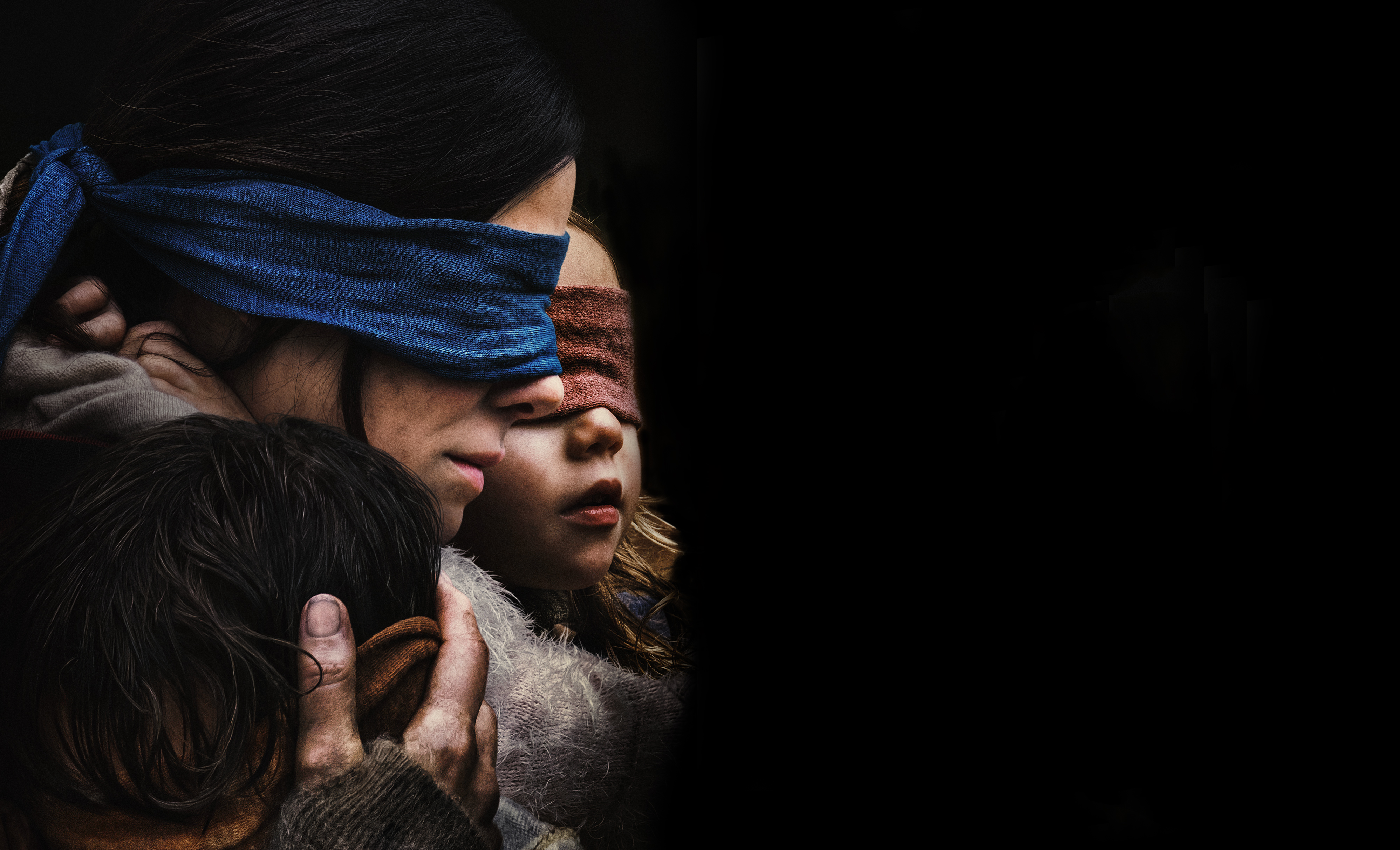 Photo bird box, movies, 2018 movies, netflix - free pictures on Fonwall
