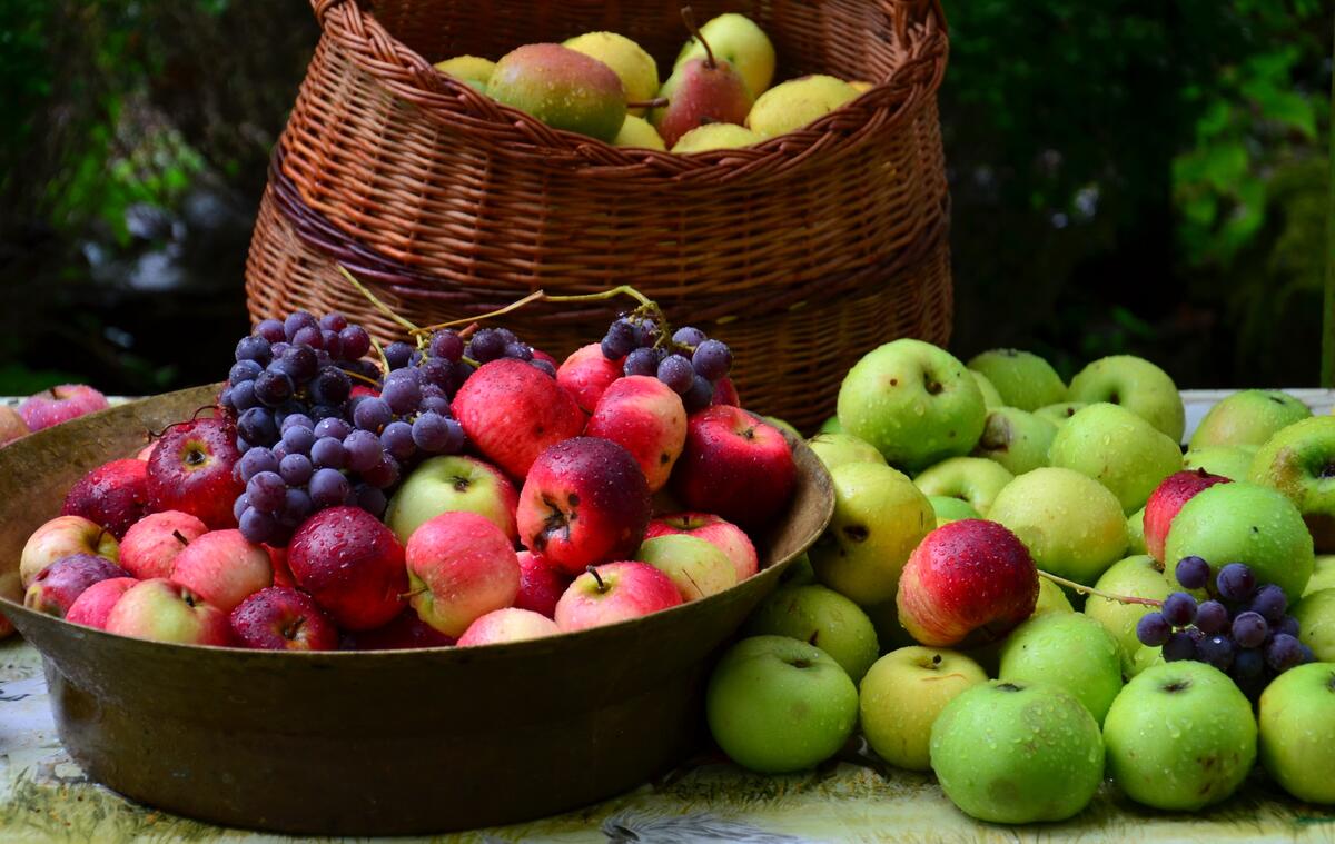 Freshly harvested apples and vonograds