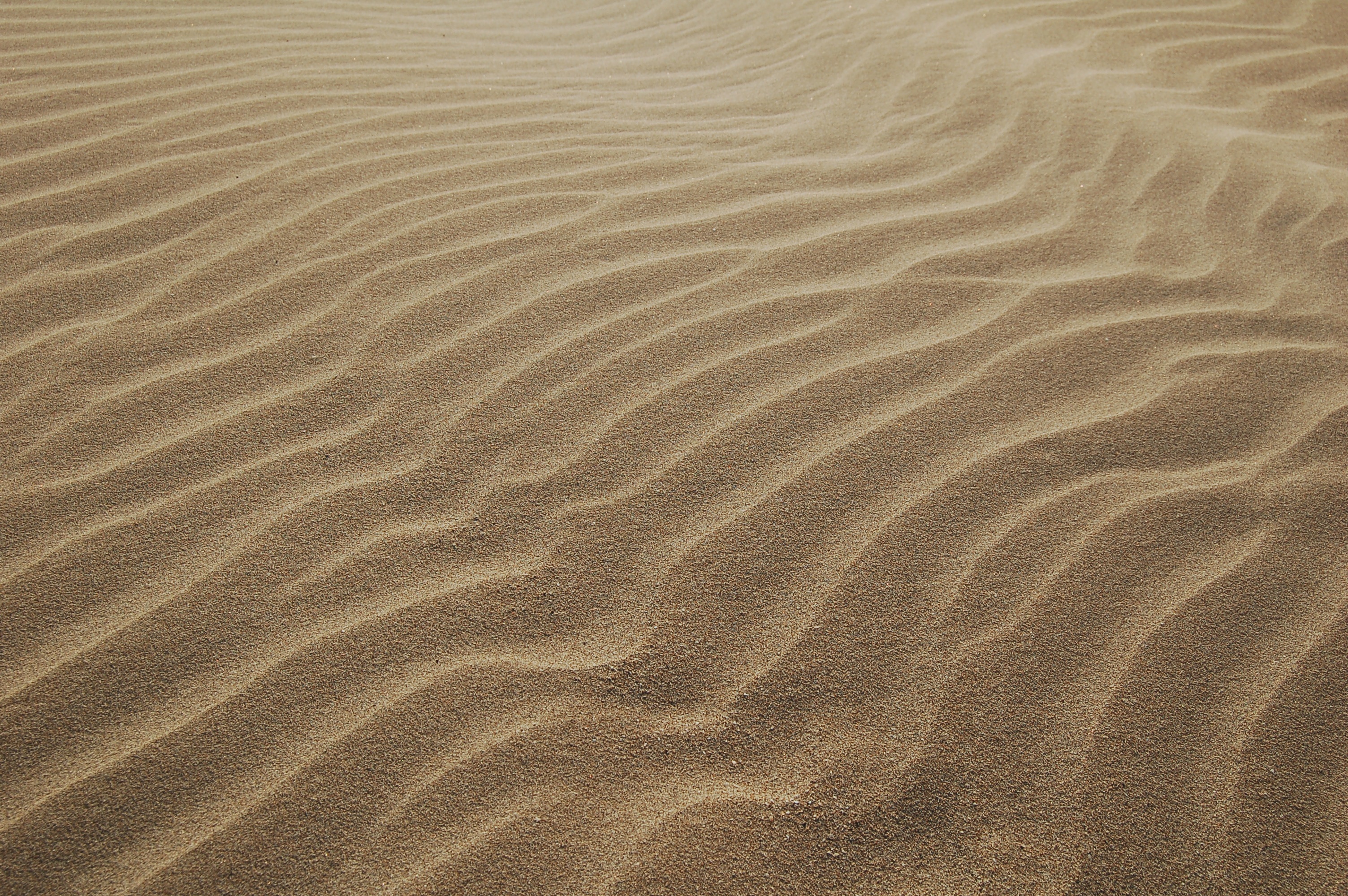Бесплатное фото Фон из песка
