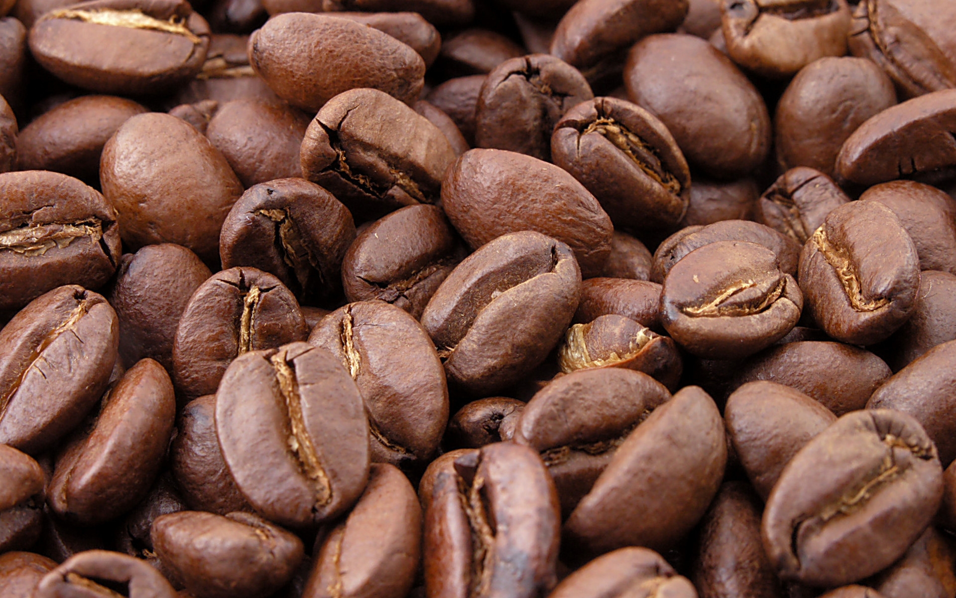 Close-up of scattered coffee beans
