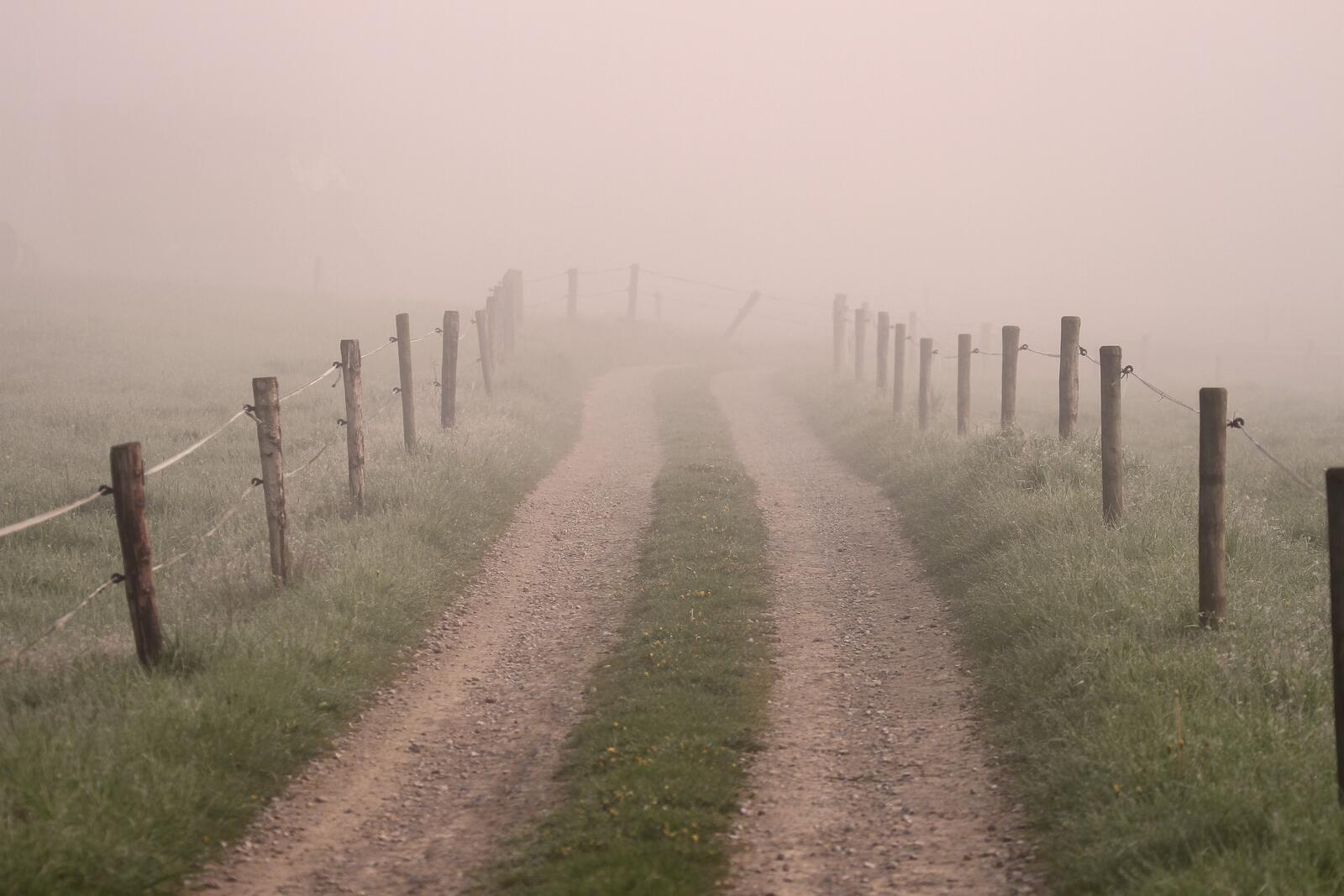 Free photo The road along the foggy pasture