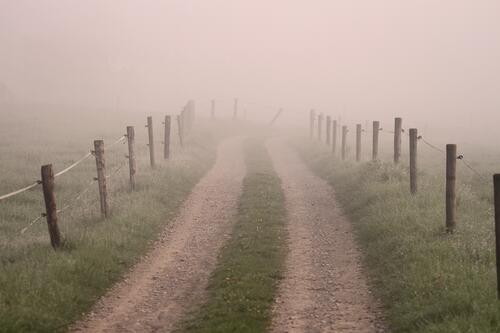 The road along the foggy pasture