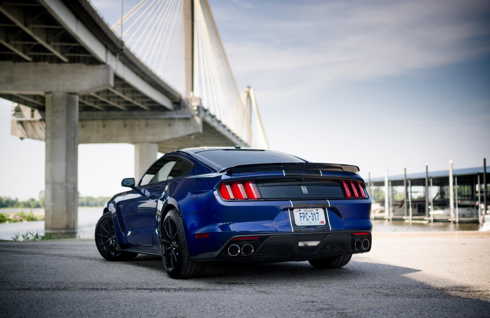 Free photo Blue mustang shelby rear view