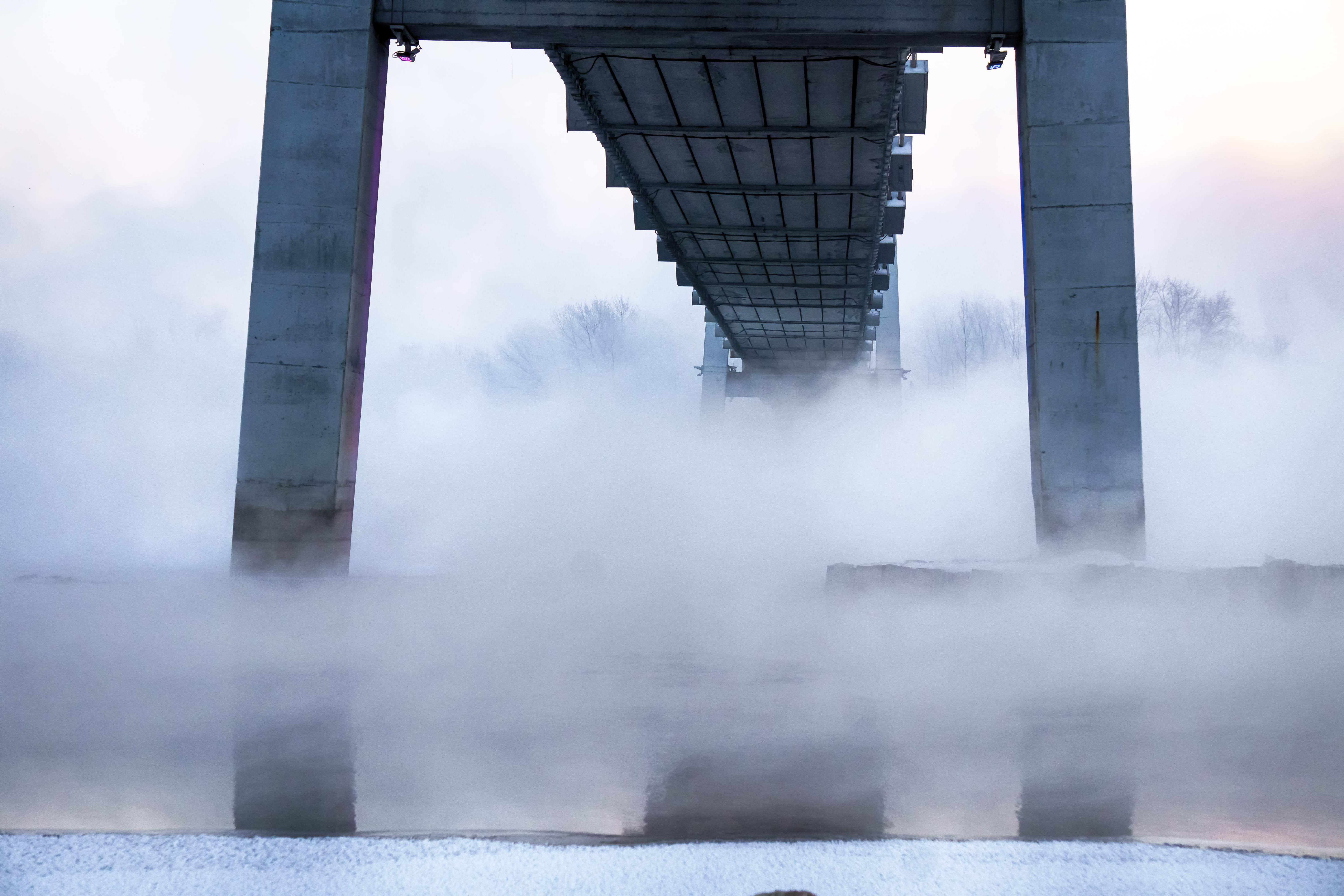 免费照片浓霜中的桥下雾