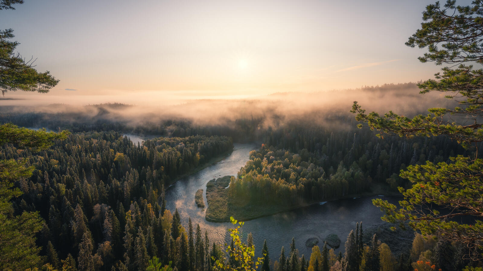 Бесплатное фото Извилистая река в лесу