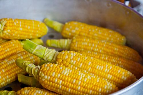 Freshly boiled corn