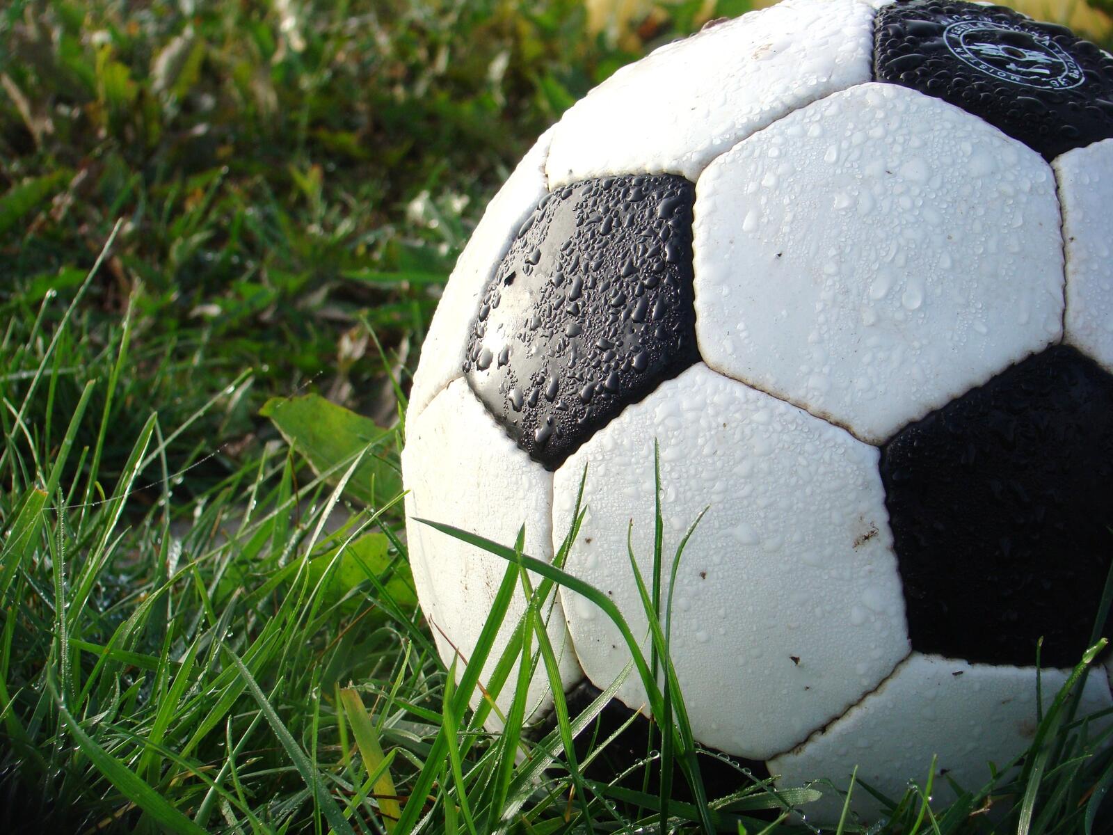 Бесплатное фото Футбольный мяч на зеленой траве