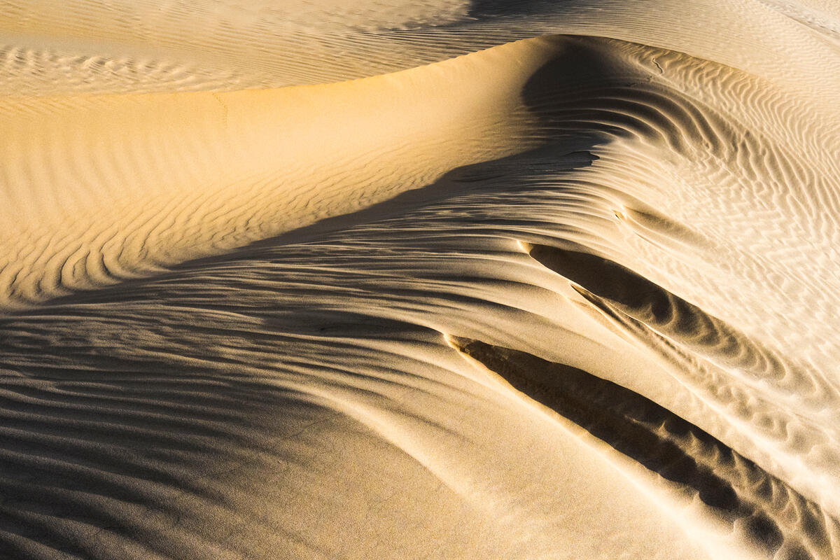 Sand dunes in the desert