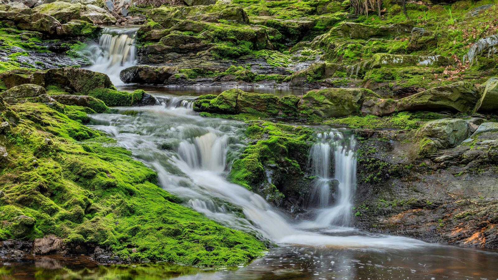 Free photo Moss-covered rock waterfall