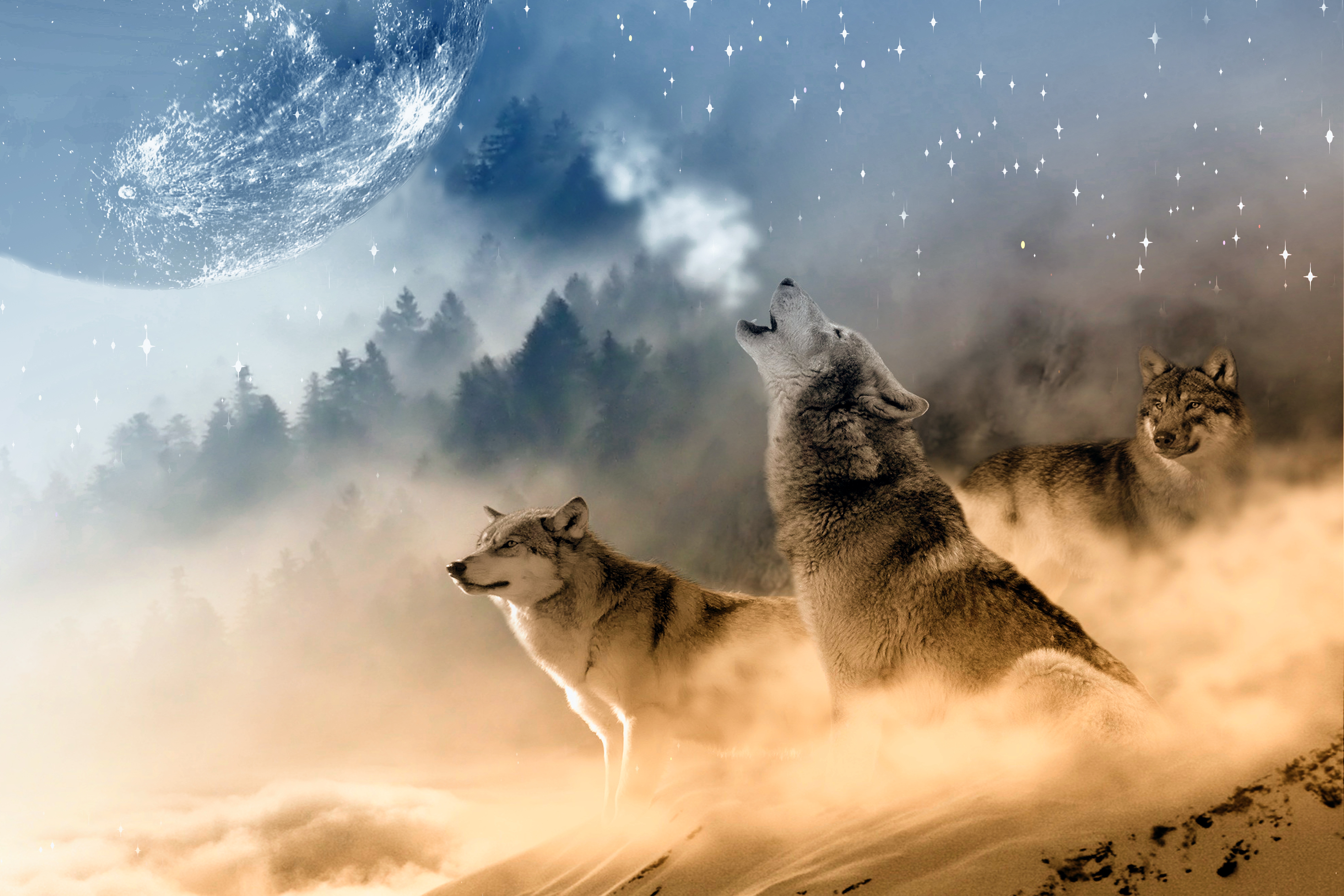 雾中的狼对着月亮嚎叫